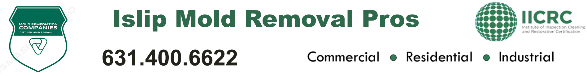 Islip Mold Removal Pros
