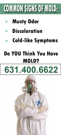 Islip Mold Remediation Contractor